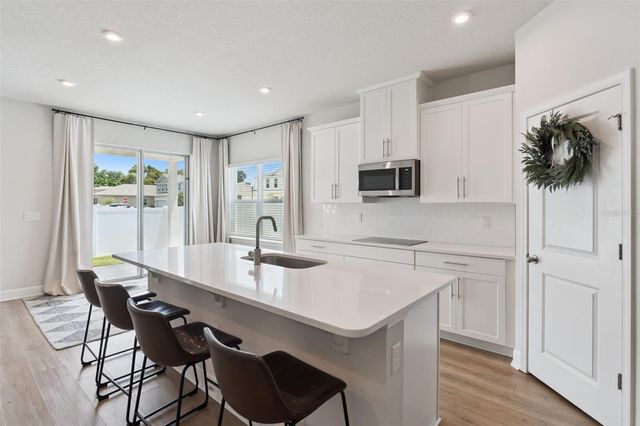 455 WINTER SOLSTICE LANE, Mount Dora, FL 32757