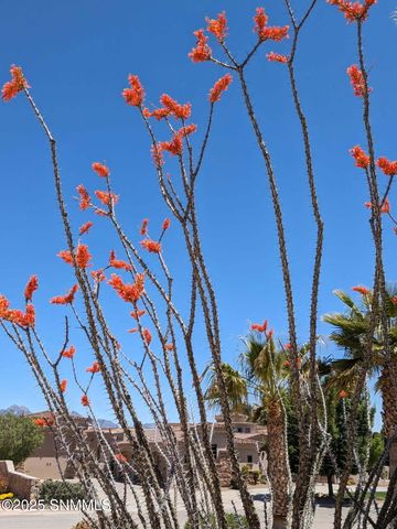 4321 Venetian Loop, Las Cruces, NM 88011