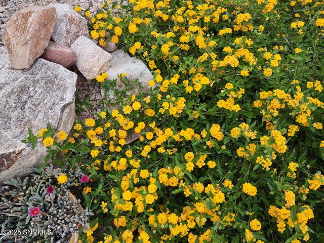 4321 Venetian Loop, Las Cruces, NM 88011