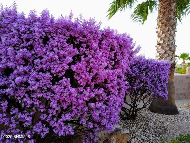 4321 Venetian Loop, Las Cruces, NM 88011