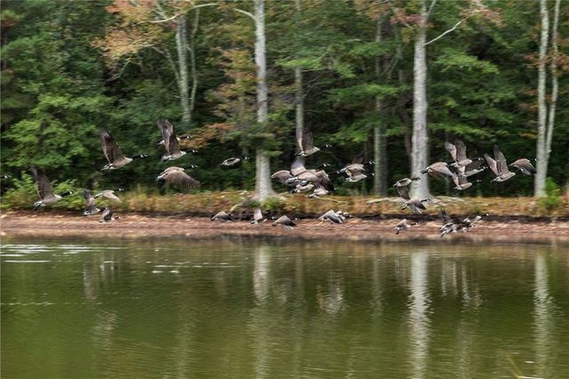 265 Honeysuckle, Temple, GA 30179