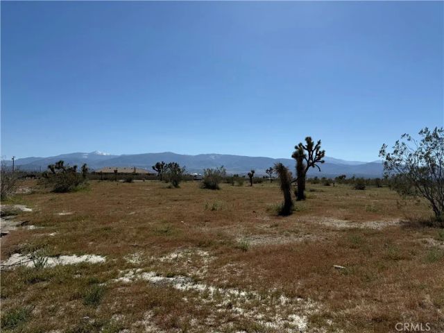 0 La Mesa, Pinon Hills, CA 92372