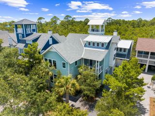 58 Coopersmith Lane, Inlet Beach, FL 32461