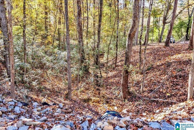 0 HAMMOCK ROAD, Trussville, AL 35173