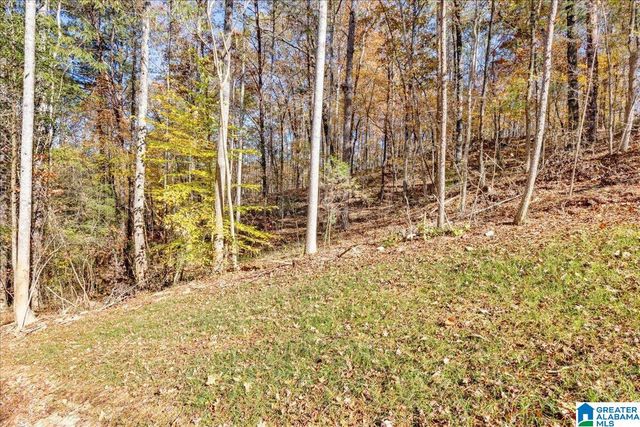 0 HAMMOCK ROAD, Trussville, AL 35173