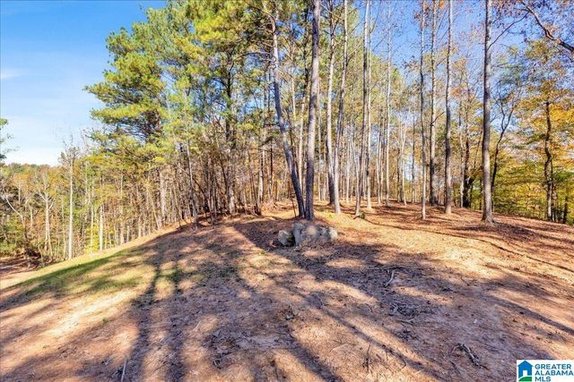 0 HAMMOCK ROAD, Trussville, AL 35173