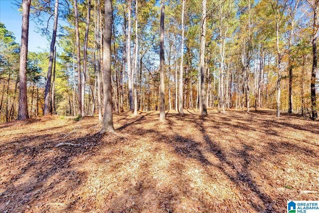 0 HAMMOCK ROAD, Trussville, AL 35173