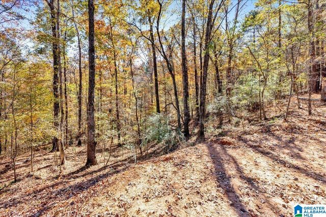 0 HAMMOCK ROAD, Trussville, AL 35173