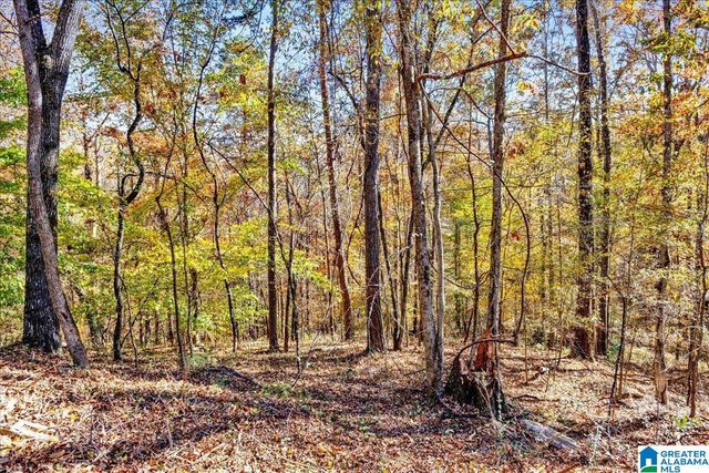 0 HAMMOCK ROAD, Trussville, AL 35173