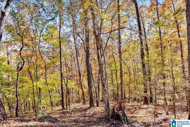 0 HAMMOCK ROAD, Trussville, AL 35173