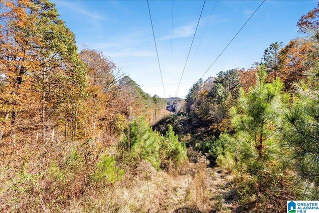 0 HAMMOCK ROAD, Trussville, AL 35173