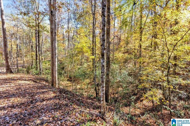 0 HAMMOCK ROAD, Trussville, AL 35173