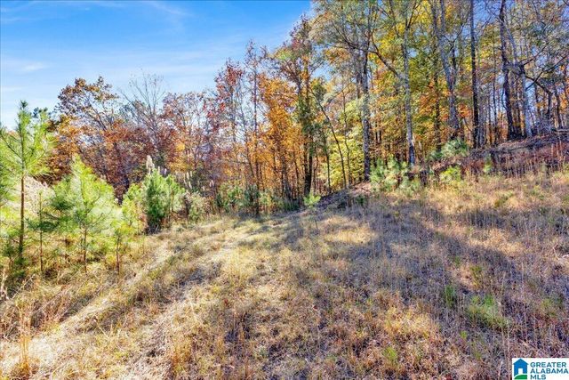 0 HAMMOCK ROAD, Trussville, AL 35173