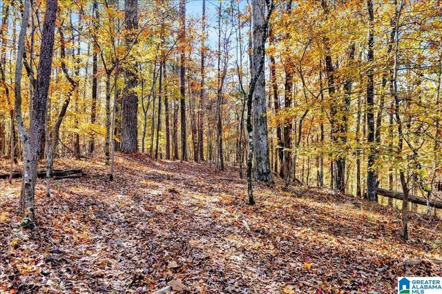 0 HAMMOCK ROAD, Trussville, AL 35173