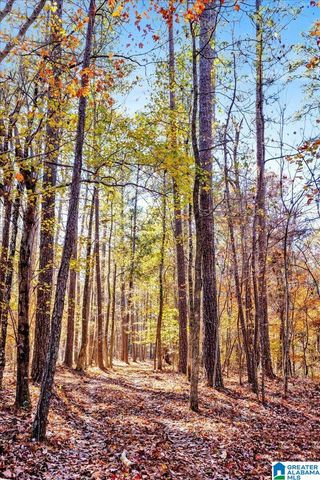 0 HAMMOCK ROAD, Trussville, AL 35173