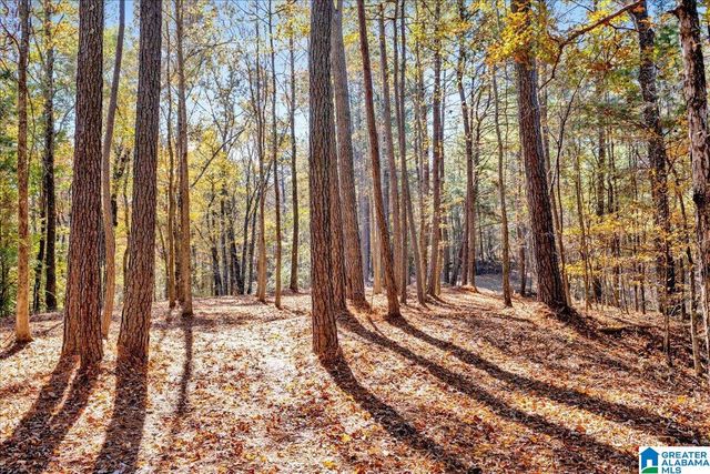 0 HAMMOCK ROAD, Trussville, AL 35173