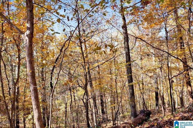 0 HAMMOCK ROAD, Trussville, AL 35173