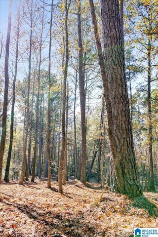 0 HAMMOCK ROAD, Trussville, AL 35173