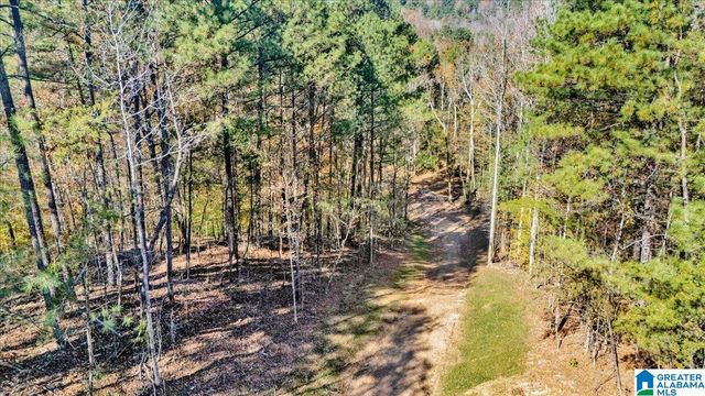 0 HAMMOCK ROAD, Trussville, AL 35173