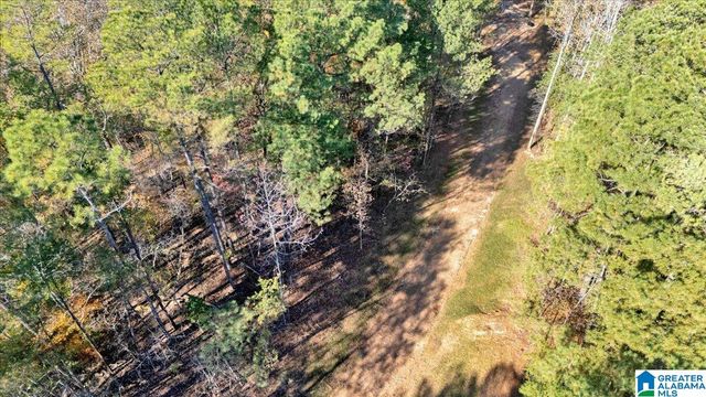 0 HAMMOCK ROAD, Trussville, AL 35173