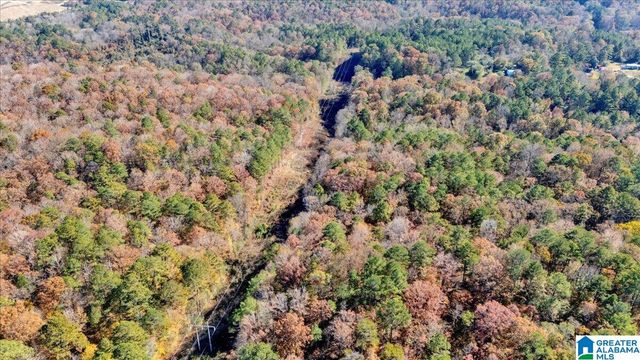 0 HAMMOCK ROAD, Trussville, AL 35173