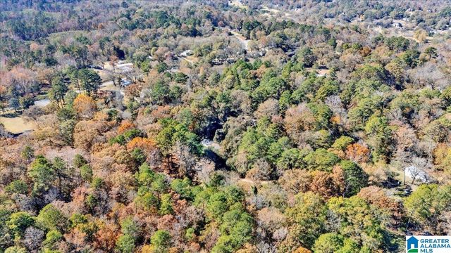 0 HAMMOCK ROAD, Trussville, AL 35173