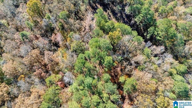 0 HAMMOCK ROAD, Trussville, AL 35173