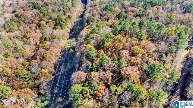 0 HAMMOCK ROAD, Trussville, AL 35173