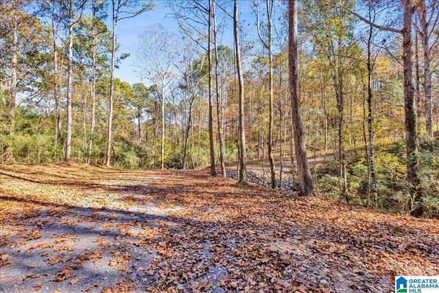 0 HAMMOCK ROAD, Trussville, AL 35173