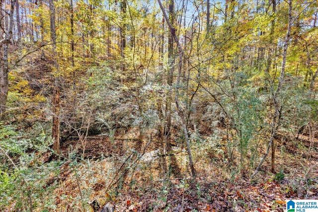 0 HAMMOCK ROAD, Trussville, AL 35173