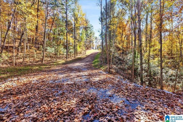 0 HAMMOCK ROAD, Trussville, AL 35173