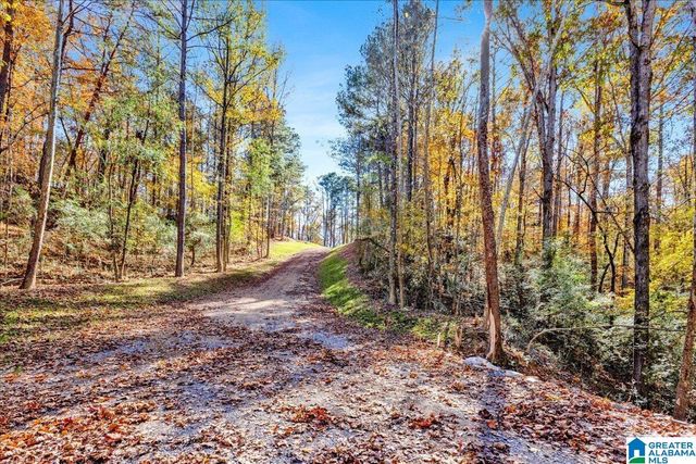 0 HAMMOCK ROAD, Trussville, AL 35173