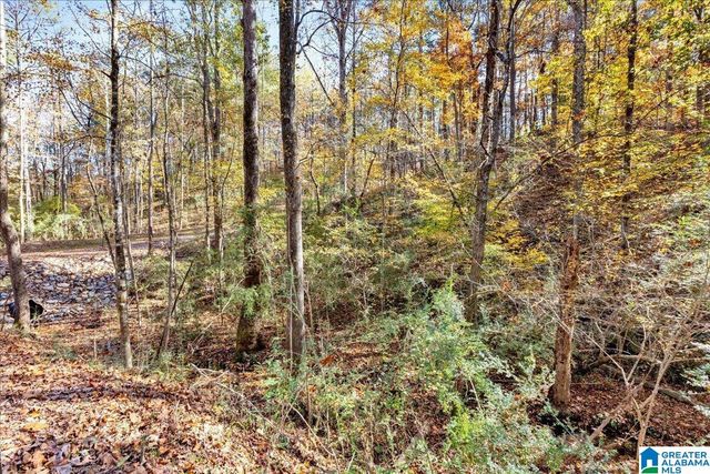 0 HAMMOCK ROAD, Trussville, AL 35173