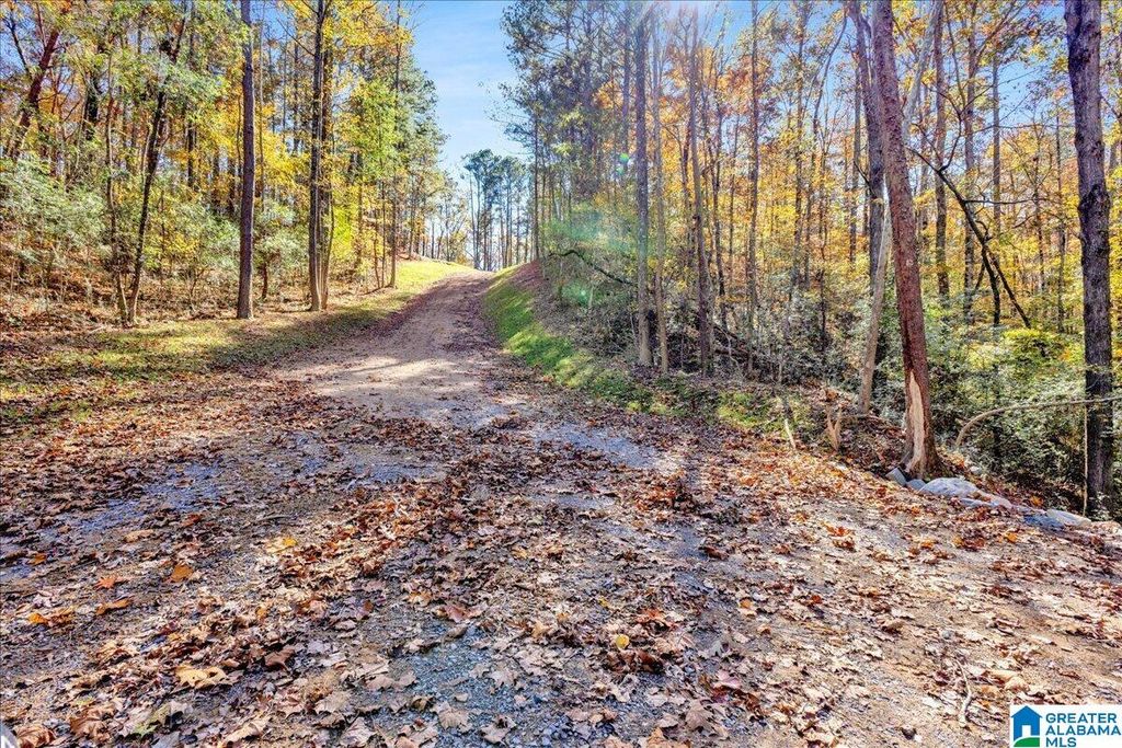 0 HAMMOCK ROAD, Trussville, AL 35173