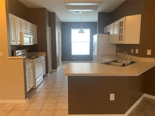 19132 WOOD SAGE DRIVE, Tampa, FL 33647
