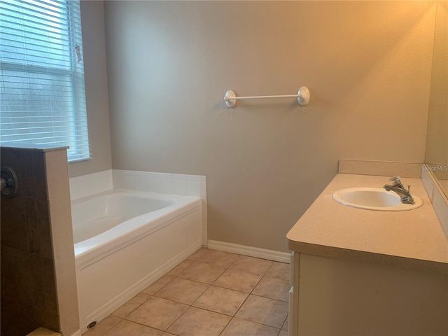 19132 WOOD SAGE DRIVE, Tampa, FL 33647