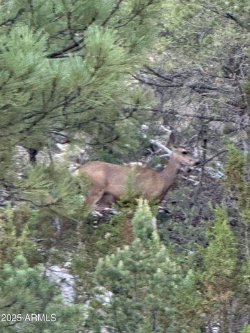 1905 GREEN VALLEY Road, Heber, AZ 85928