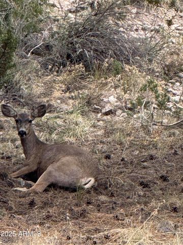 1905 GREEN VALLEY Road, Heber, AZ 85928