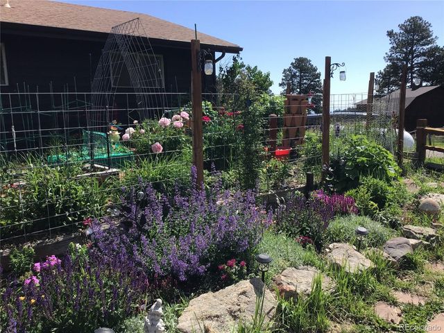 24597 Stanley Park Road, Evergreen, CO 80439