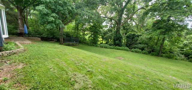 10866 Mercer Ct Court, St Ann, MO 63074