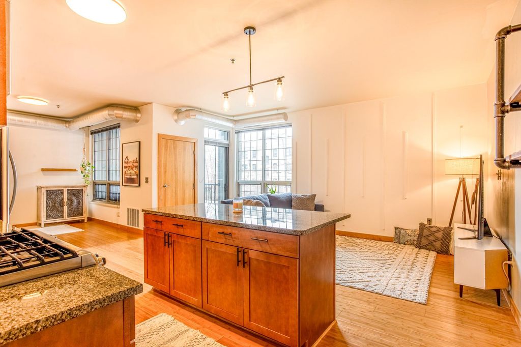 521 2nd Street SE 307, Minneapolis, MN 55414 — photo 2