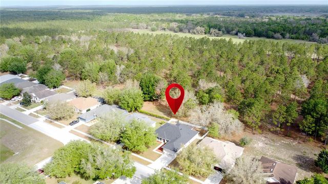 31249 SATINLEAF RUN, Brooksville, FL 34602