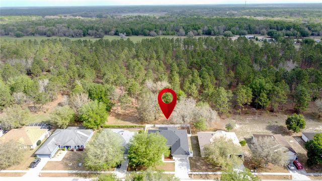 31249 SATINLEAF RUN, Brooksville, FL 34602