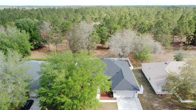 31249 SATINLEAF RUN, Brooksville, FL 34602