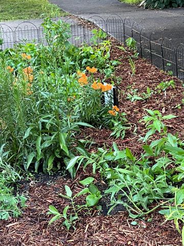 458 Otis Avenue, Saint Paul, MN 55104