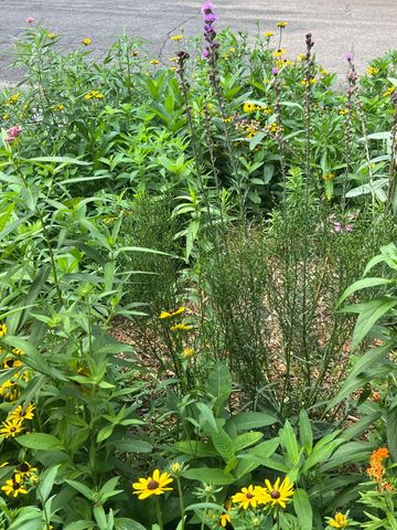 458 Otis Avenue, Saint Paul, MN 55104