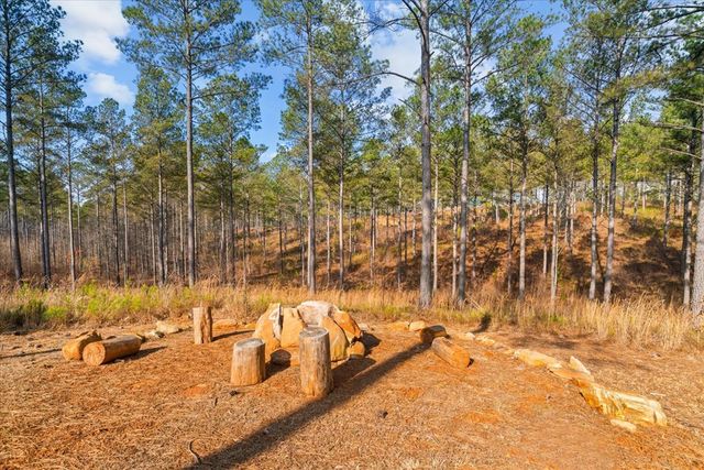 1068 High River Road, Ellijay, GA 30540