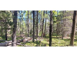 2914 Forbes Loop, Fort Garland, CO 81133