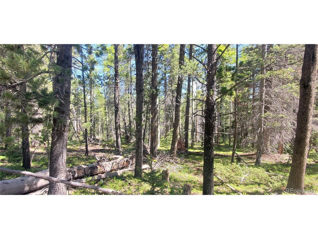 2914 Forbes Loop, Fort Garland, CO 81133