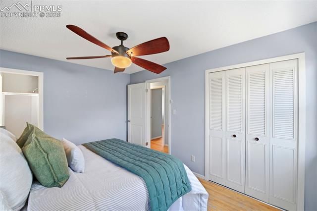 3708 Windflower Circle, Colorado Springs, CO 80918